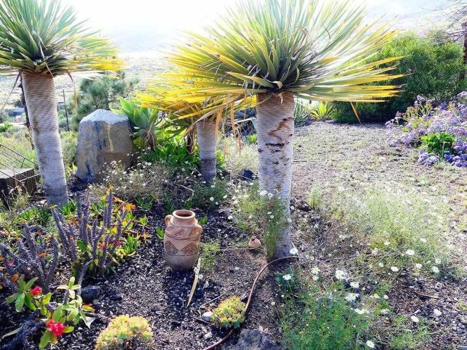 Magnificent Villa With Panoramic Views Santa-Cruz de Ténérife Extérieur photo